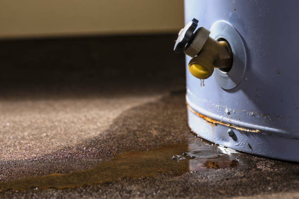 Best Commercial water damage restoration  in Dellwood, MO