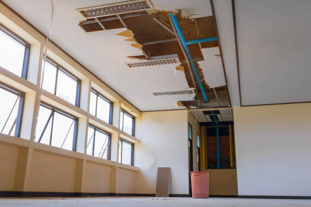 Best Basement water damage restoration  in Dellwood, MO