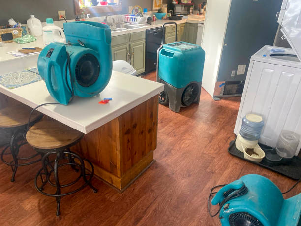 Best Mold removal after water damage  in Dellwood, MO
