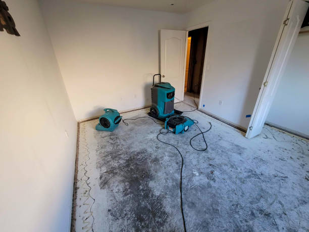  Dellwood, MO Water damage restoration Pros