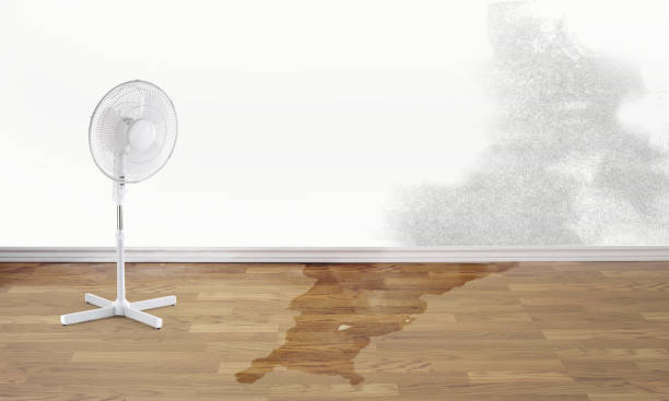 Best Water damage contractors near me  in Dellwood, MO
