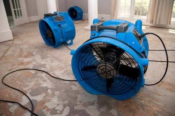 Best Residential water damage restoration  in Dellwood, MO