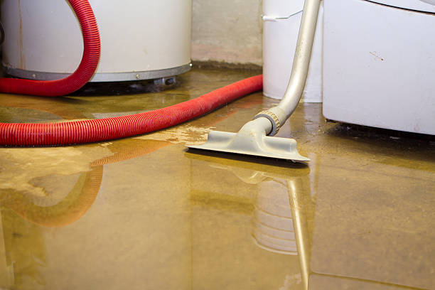 Best Flooded house restoration  in Dellwood, MO