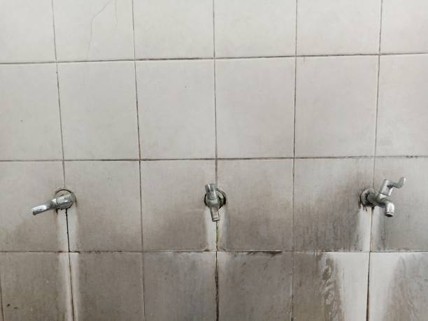 Best Ceiling water damage repair  in Dellwood, MO