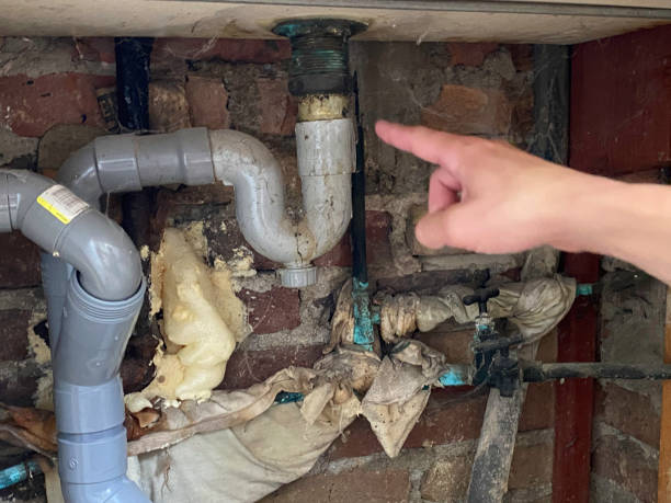 Best Sewage cleanup and water damage restoration  in Dellwood, MO