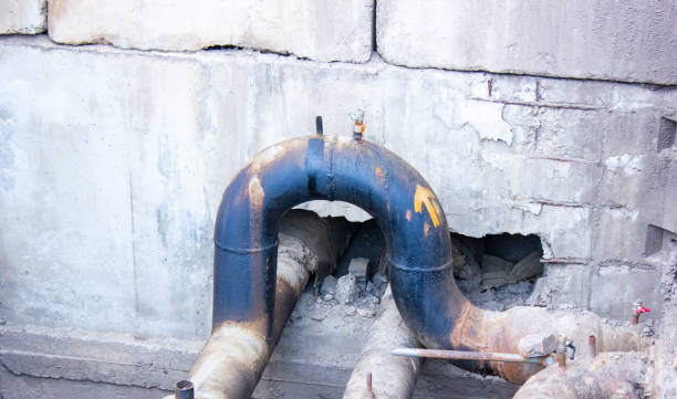 Best Professional water damage repair  in Dellwood, MO