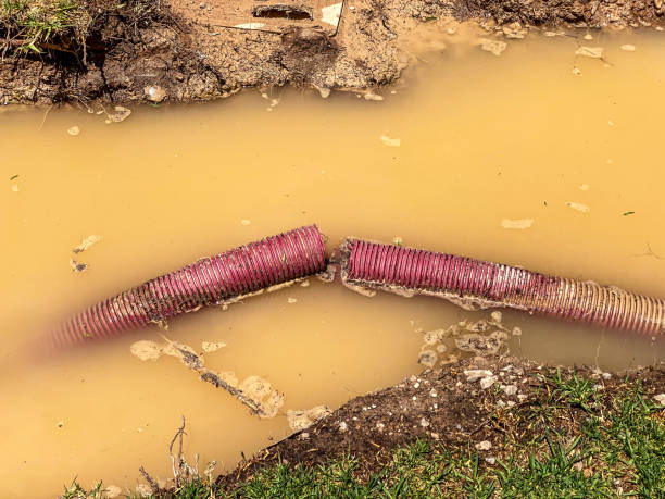 Best Emergency water damage restoration  in Dellwood, MO